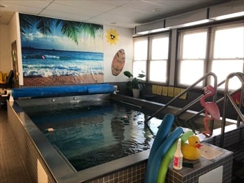 aquatic therapy pool