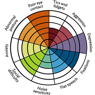 Graphic of the Autism Wheel